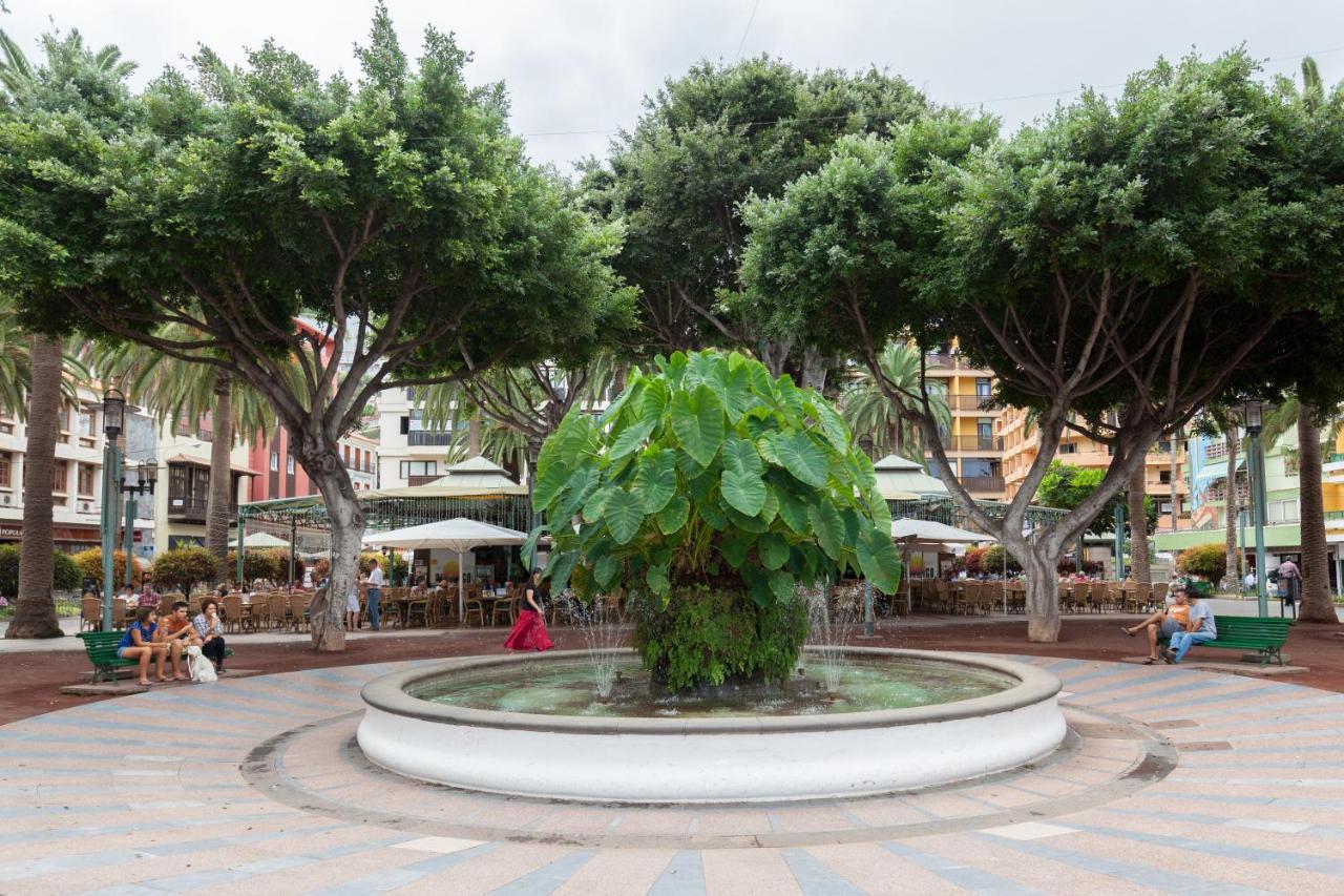 Home2Book Charming Apartment Puerto De La Cruz, 103 المظهر الخارجي الصورة